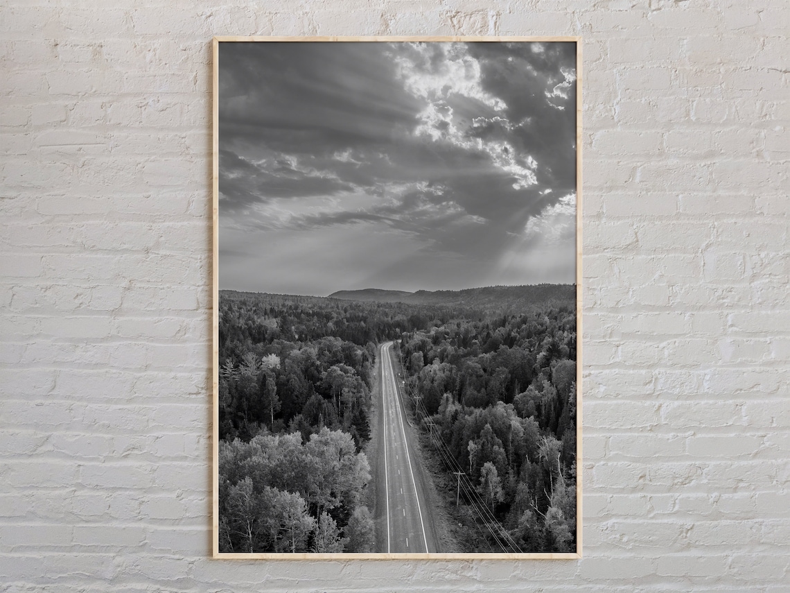 Straight Road Through Dense Forest Under Dramatic Sky Black And White Print