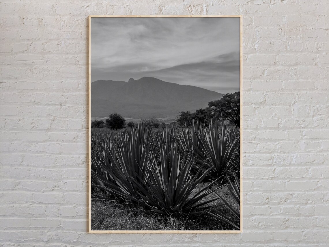 Black And White Jalisco Print Wall Art Poster Photo Decor Mexico