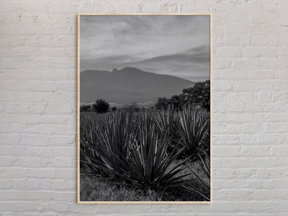 Black And White Jalisco Print Wall Art Poster Photo Decor Mexico