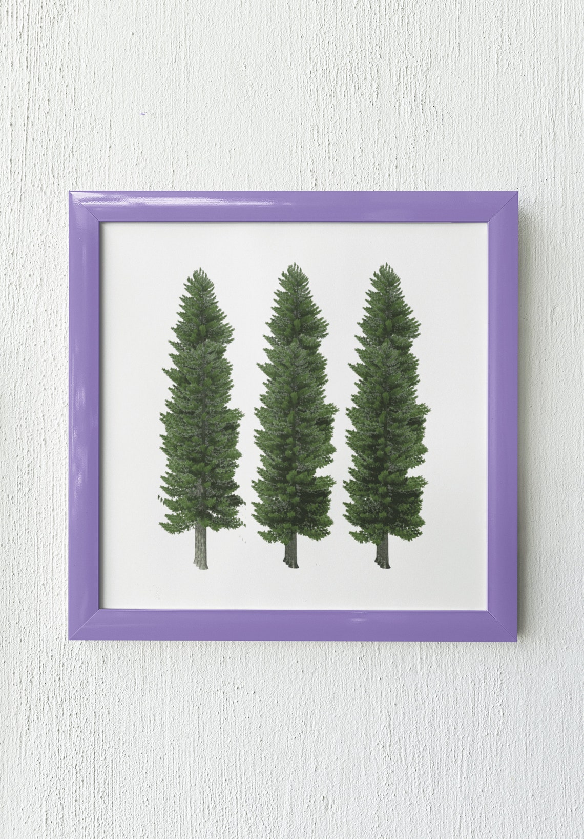 Pine Tree Trio Minimalist Evergreen Botanical Modern Wall Decor Poster - Image 3