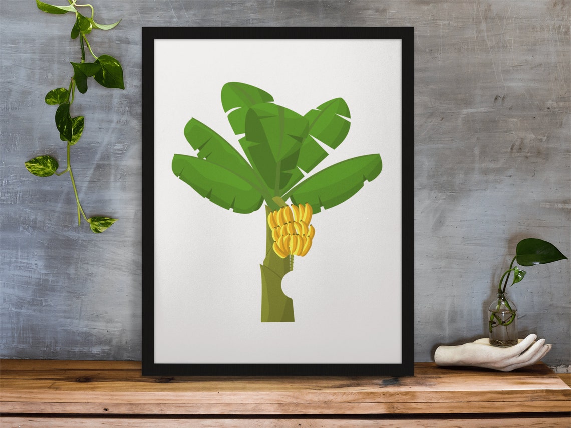 Banana Tree Tropical Illustration With Banana Fruit Wall Poster - Image 7