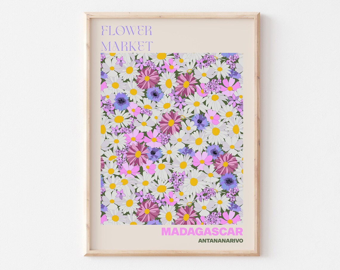 Madagascar Antananarivo Flower Market Pink Daisy Field Art Poster