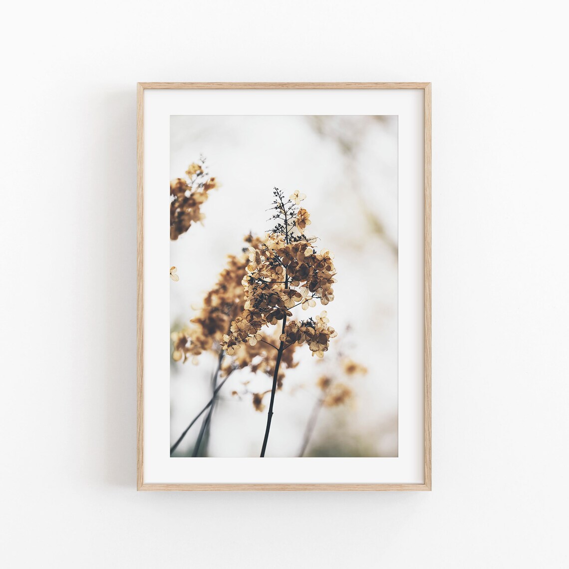Dry Flowers Botanical Boho Poster, Farmhouse Decor
