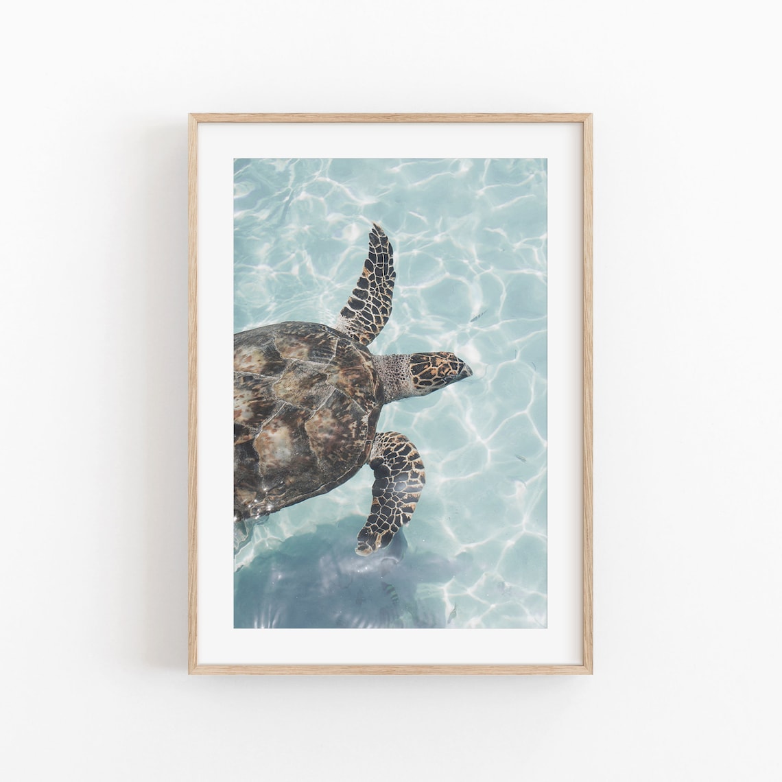 Sea Turtle Modern Minimalist Art Print, Wall Decor
