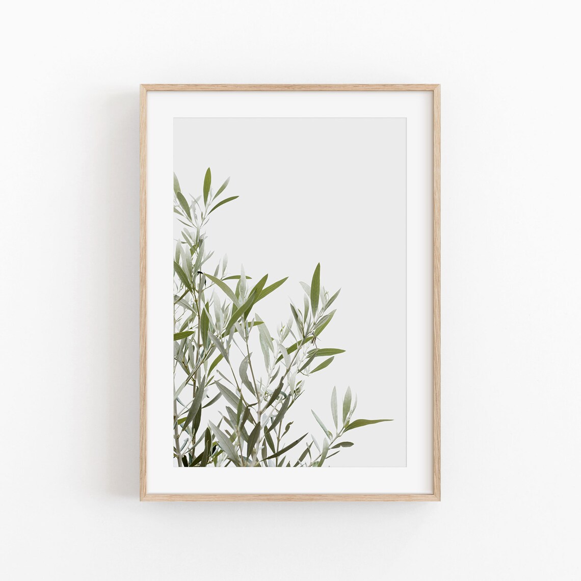 Olive Tree Botanical Art Print, Farmhouse Decor