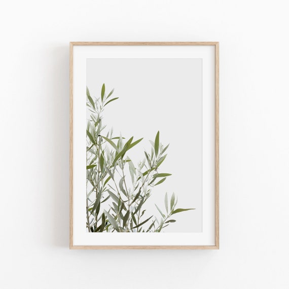 Olive Tree Botanical Art Print, Farmhouse Decor