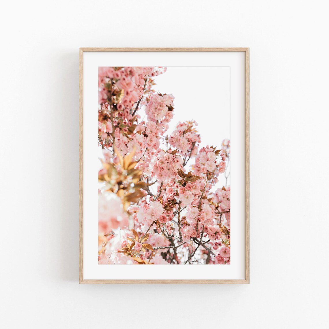 Flowers Art Print, Desert Flowers Floral Art