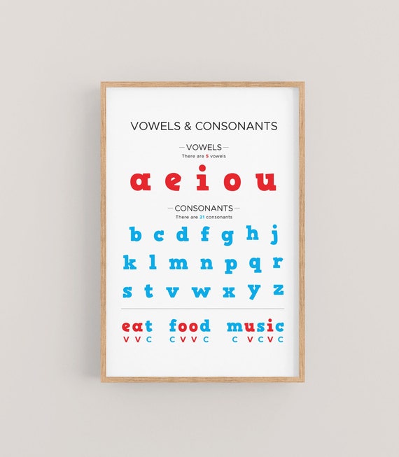 Vowels and Consonants Chart Phonics Poster, Classroom Alphabet