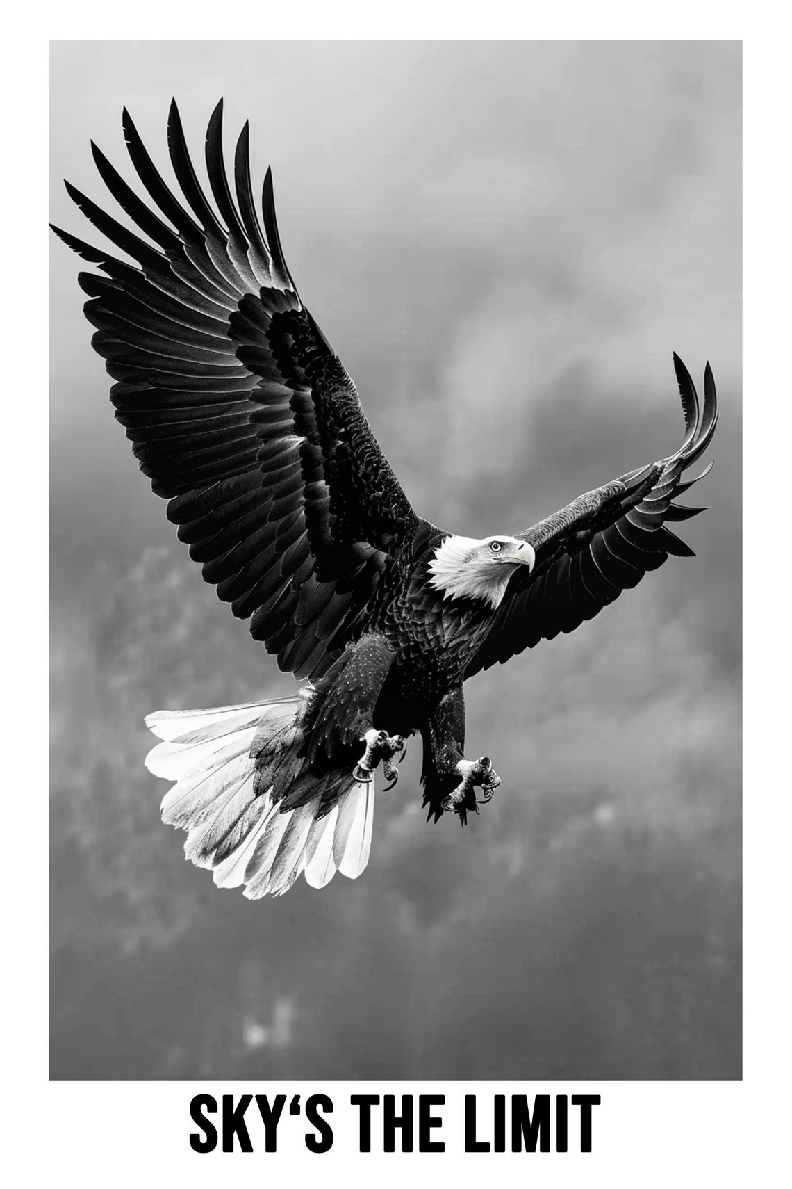 Bald Eagle Diving With Wide Spread Wings Sky Is The Limit Poster - Image 2