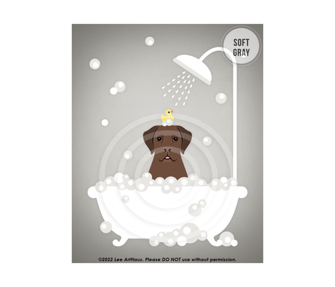 Chocolate Labrador In Shower Bathtub With Rubber Duck Dog Bath Poster - Image 3