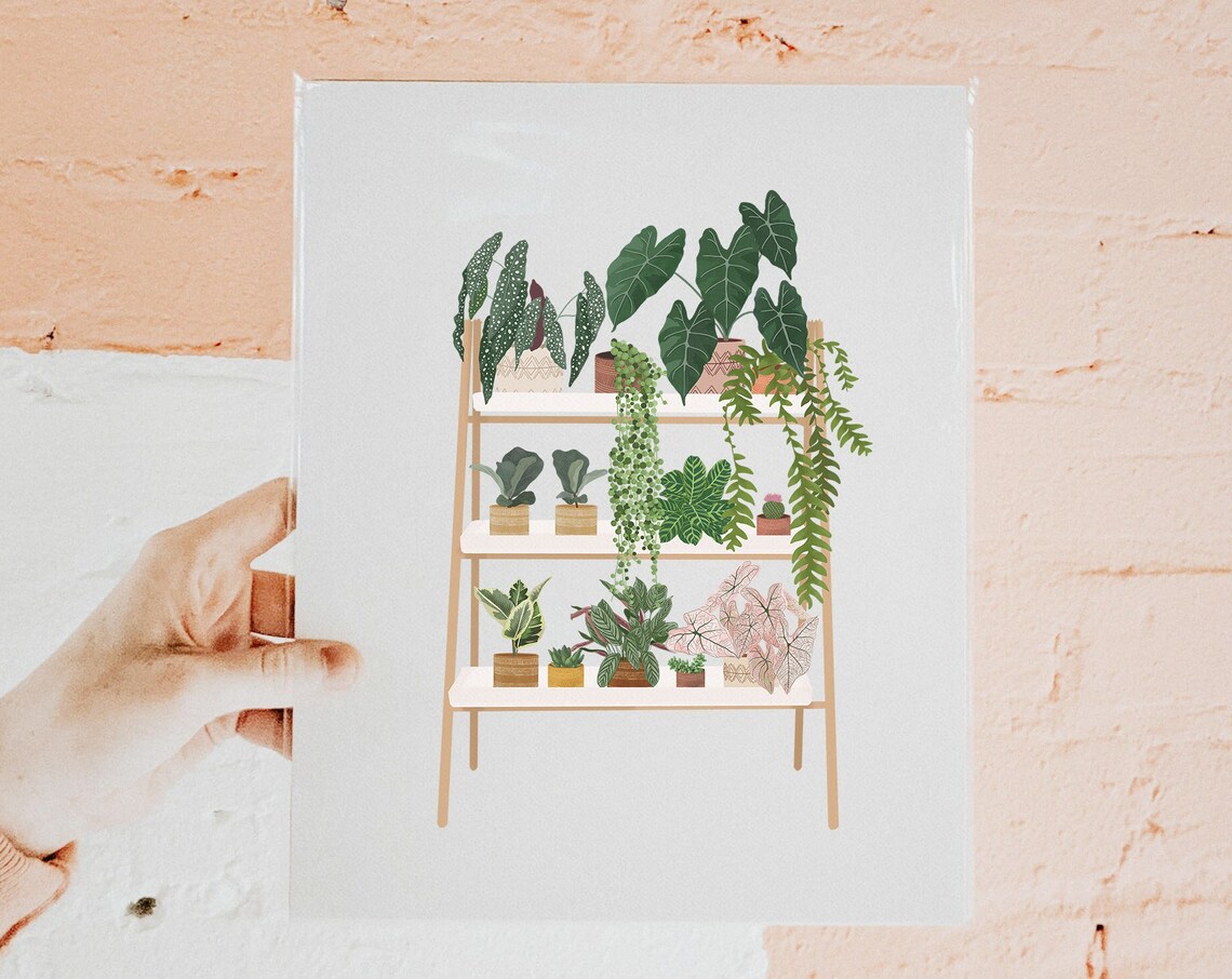 Plant Shelf Houseplant Collection Illustration Poster for Plant Lovers