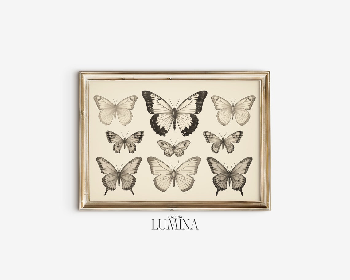 Vintage Butterflies Pencil Drawing Hand Drawn Butterfly Illustration Antique Butterfly Sketch Print Art Frame Tv Art 329 - Image 2