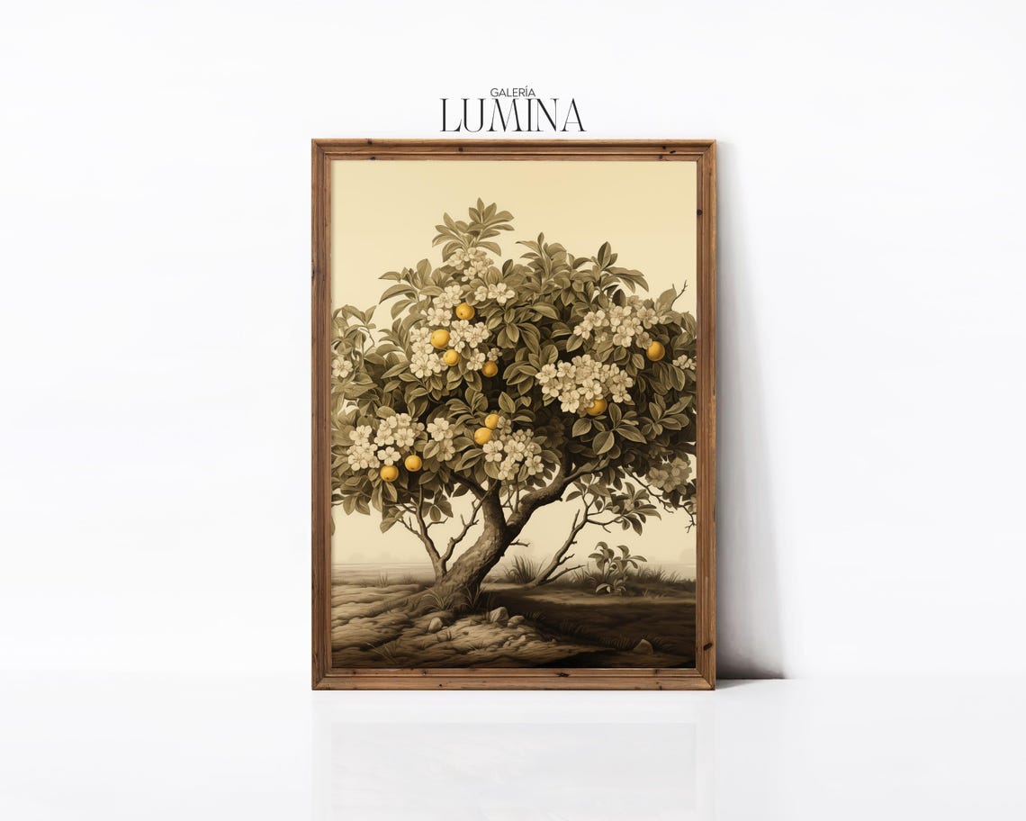 Antique Orange Tree Botanical Illustration With Fruit Poster - Image 3