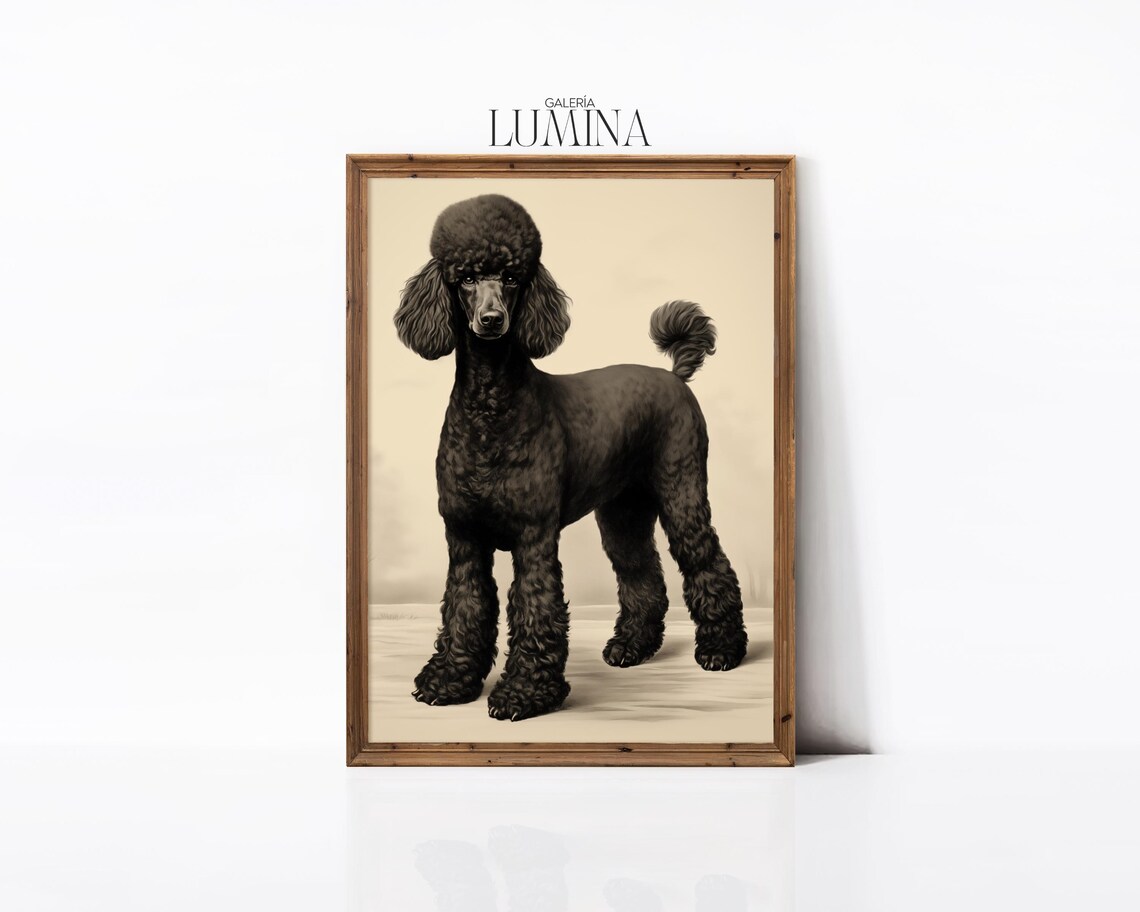 Black Poodle Minimalist Dog Illustration Art Print - Image 2