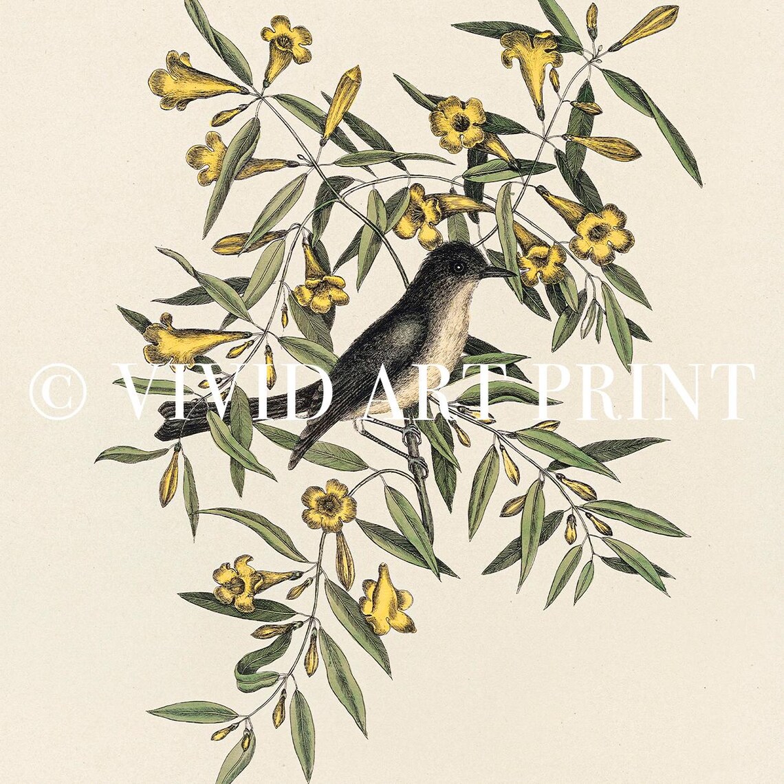 Vintage Island Bird And Flowers Art Print - Image 4