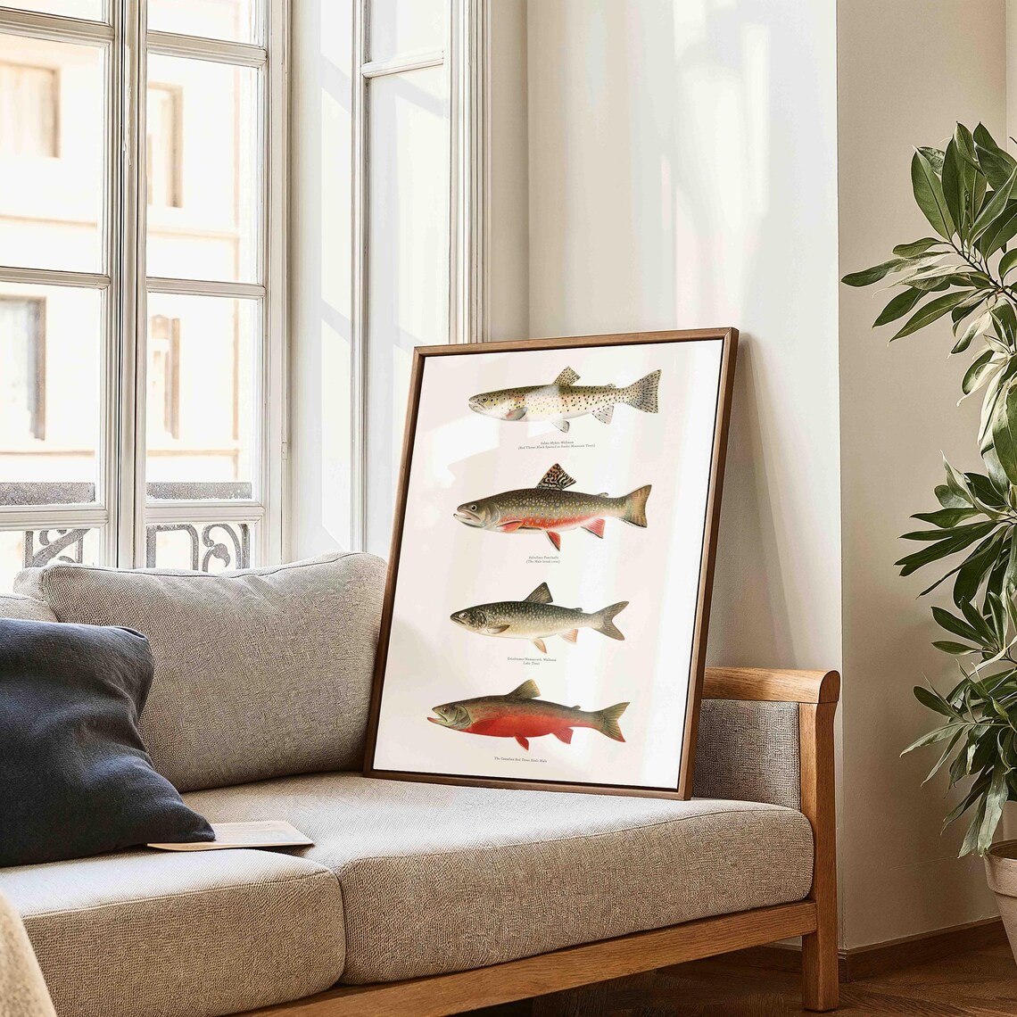 Vintage Trout Fish Collection, Species Illustration - Image 2