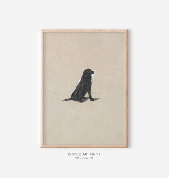 Vintage Black Labrador Charcoal Drawing, Farmhouse Art Print