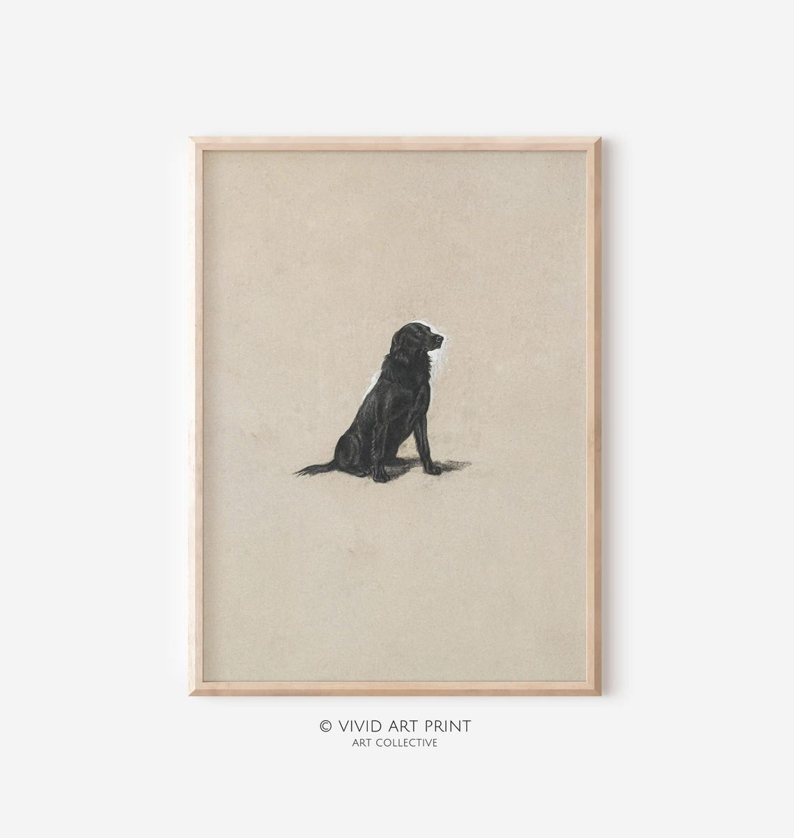 Vintage Black Labrador Charcoal Drawing, Farmhouse Art Print