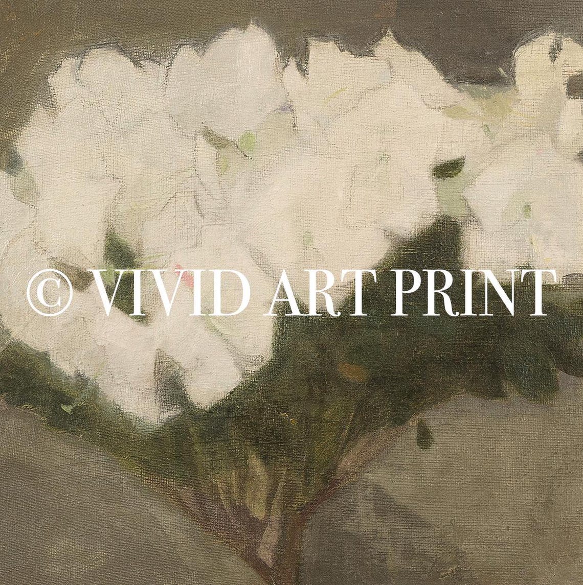 Muted White Roses Vintage Botanical Farmhouse Art Print - Image 4