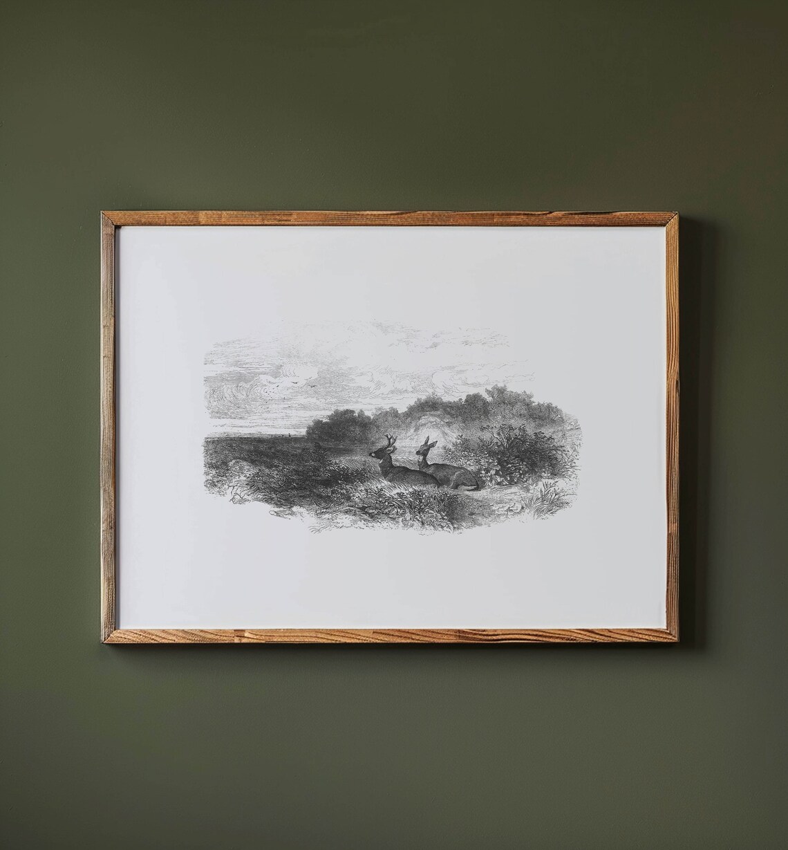Vintage Deer Sketch, Antique Home Decor - Image 3