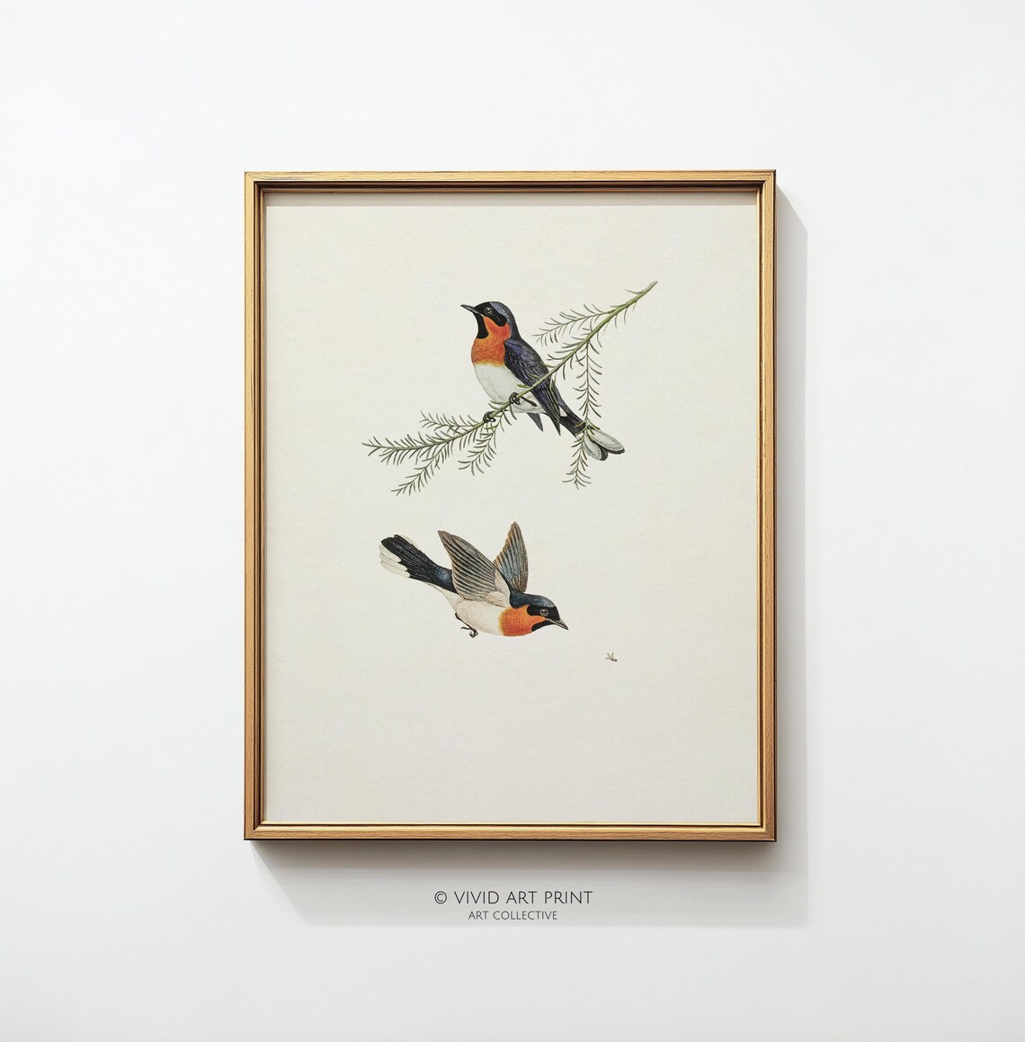 Songbird Vintage Bird Illustration, Botanical Farmhouse