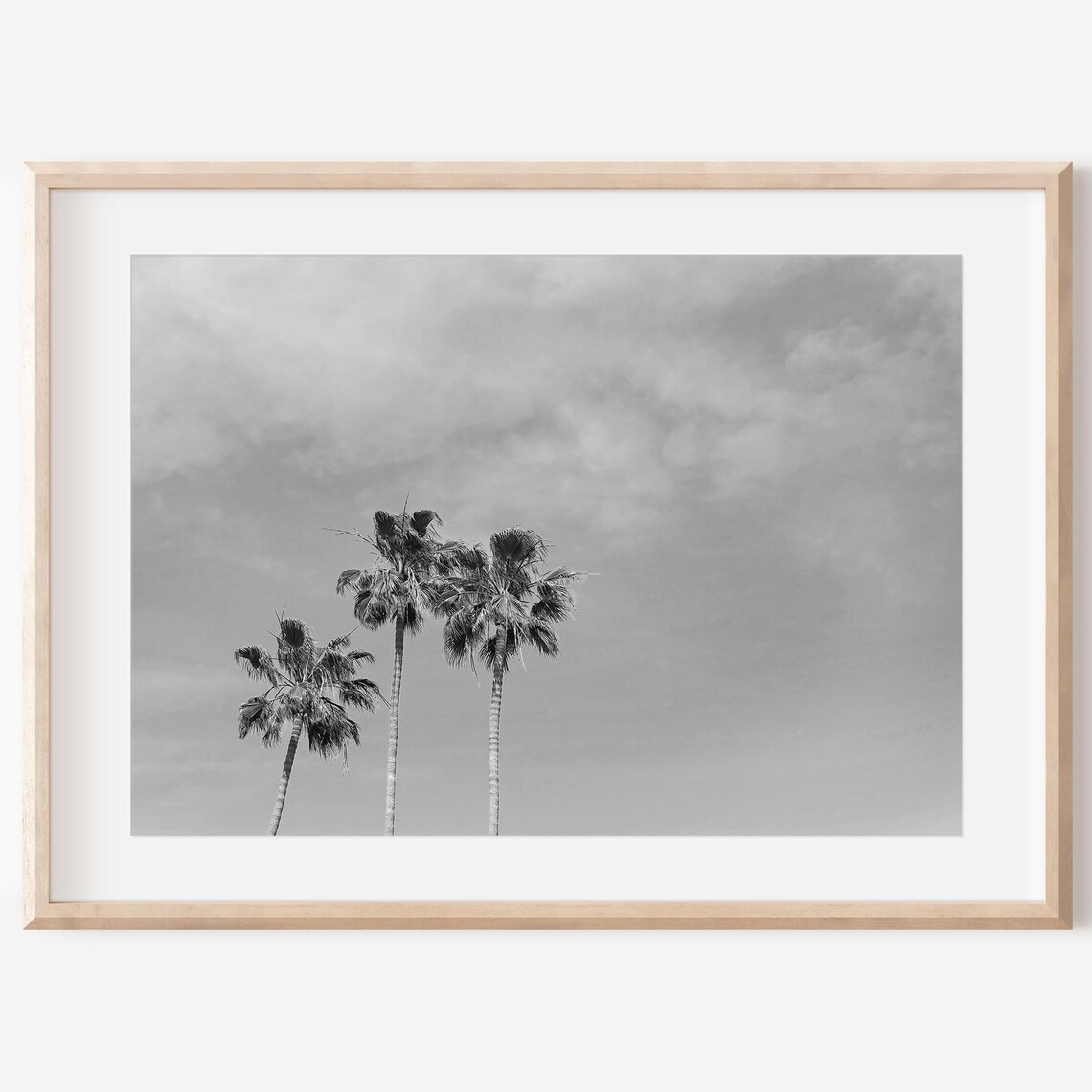 Black And White Palm Tree Newport Beach Art Print