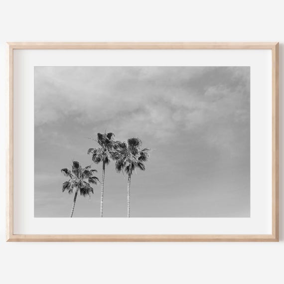 Black And White Palm Tree Newport Beach Art Print
