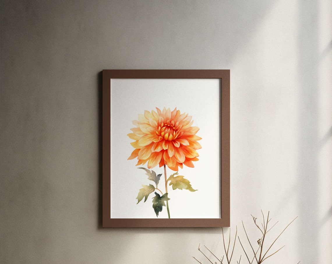 Peach Orange Dahlia Single Bloom Watercolour Botanical Poster