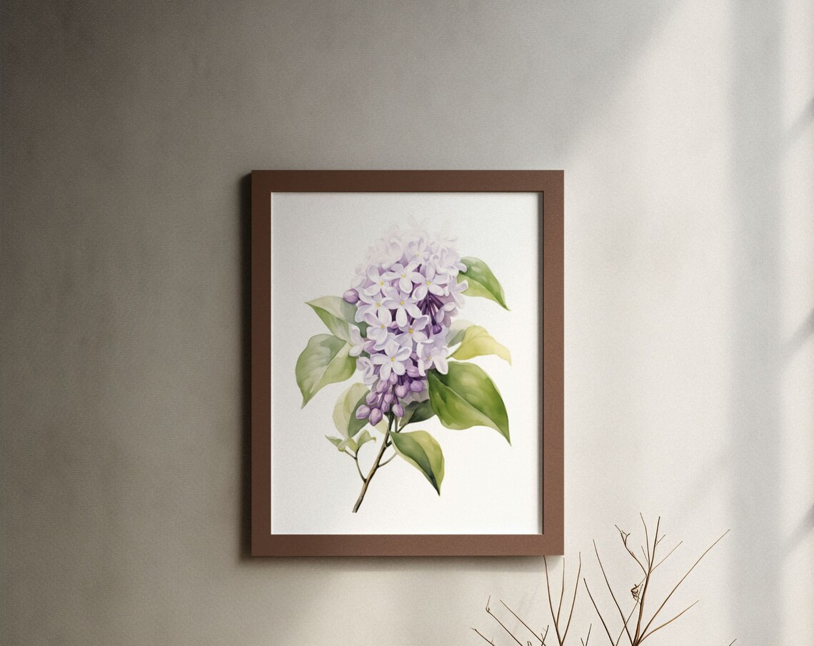 Pale Lilac Blossom Cluster Watercolour Botanical Flower Poster