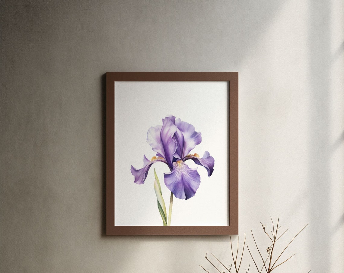 Lavender Purple Iris Single Bloom Watercolour Botanical Poster