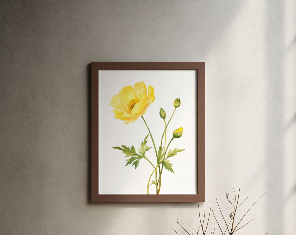 Sunny Yellow Buttercup Flower Botanical Watercolour Art Poster