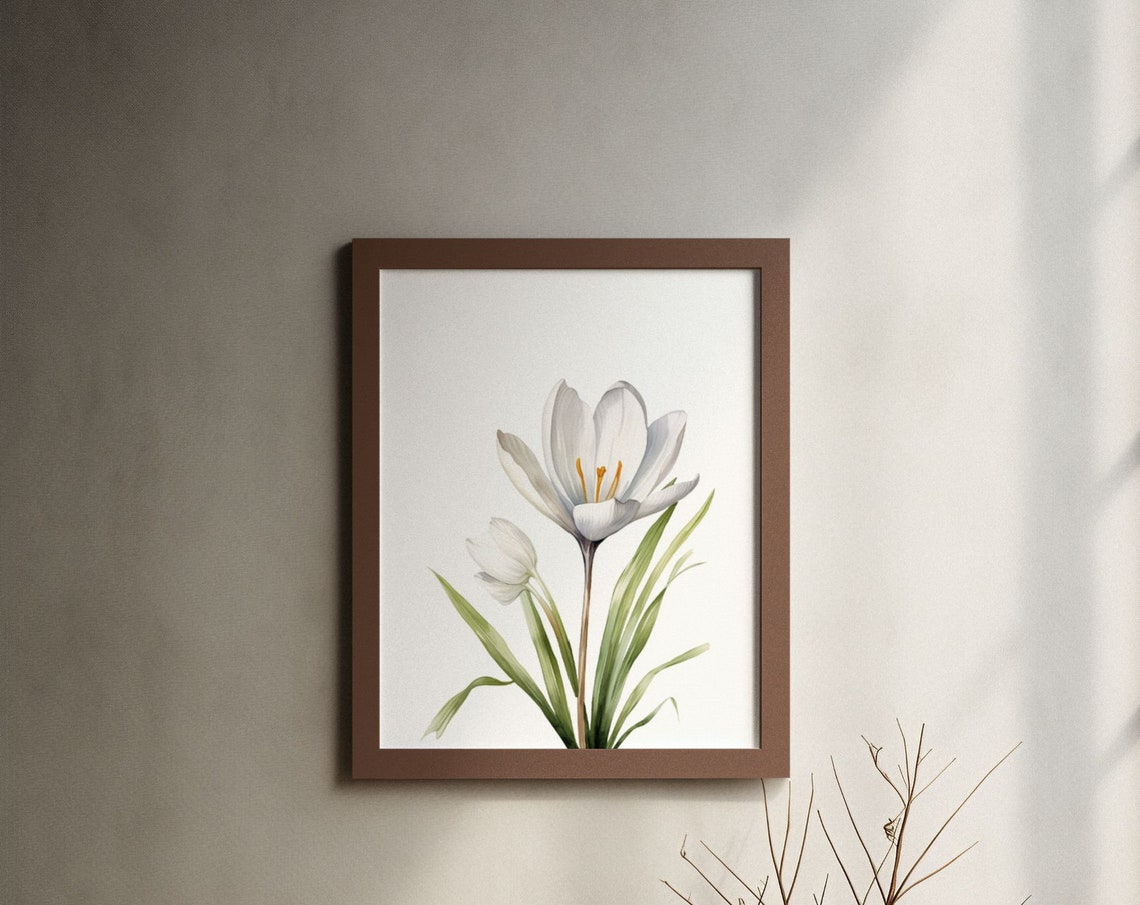 White Crocus Bloom With Bud Tender Serene Watercolor Art Poster