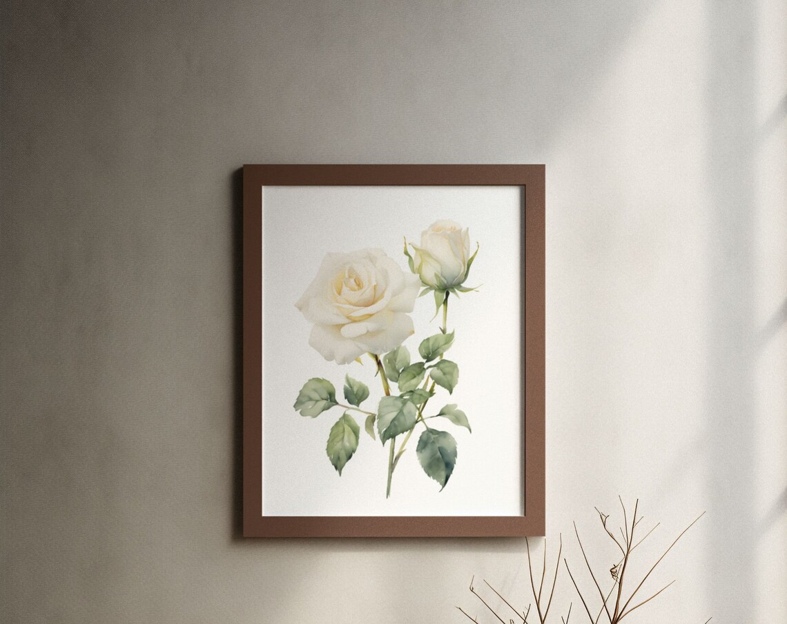 White Rose Bloom And Bud Graceful Watercolor Botanical Art Poster