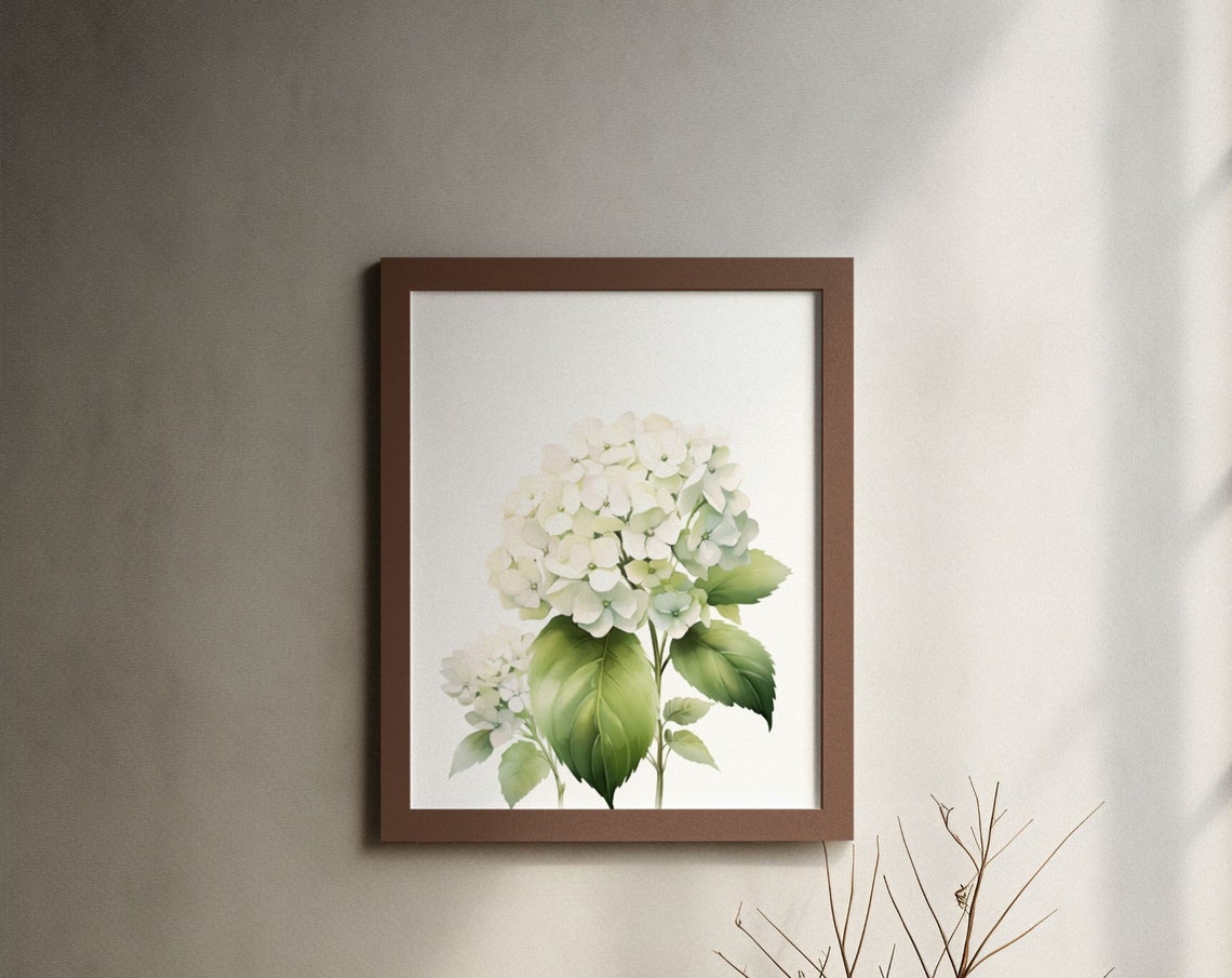 White Hydrangea Blossom Cluster Watercolour Botanical Flower Poster