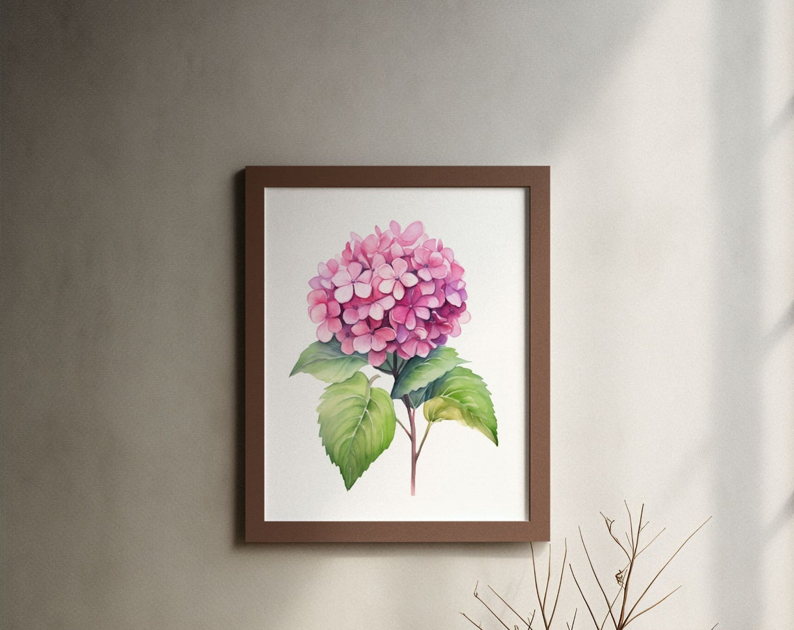 Pink Hydrangea Pom Pom Bloom Cheerful Happy Watercolor Art Poster
