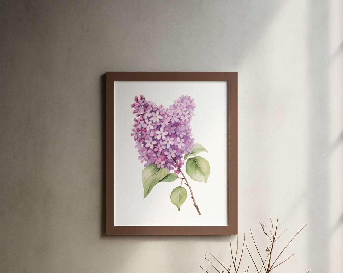 Pink Lilac Single Cluster Watercolour Botanical Flower Poster