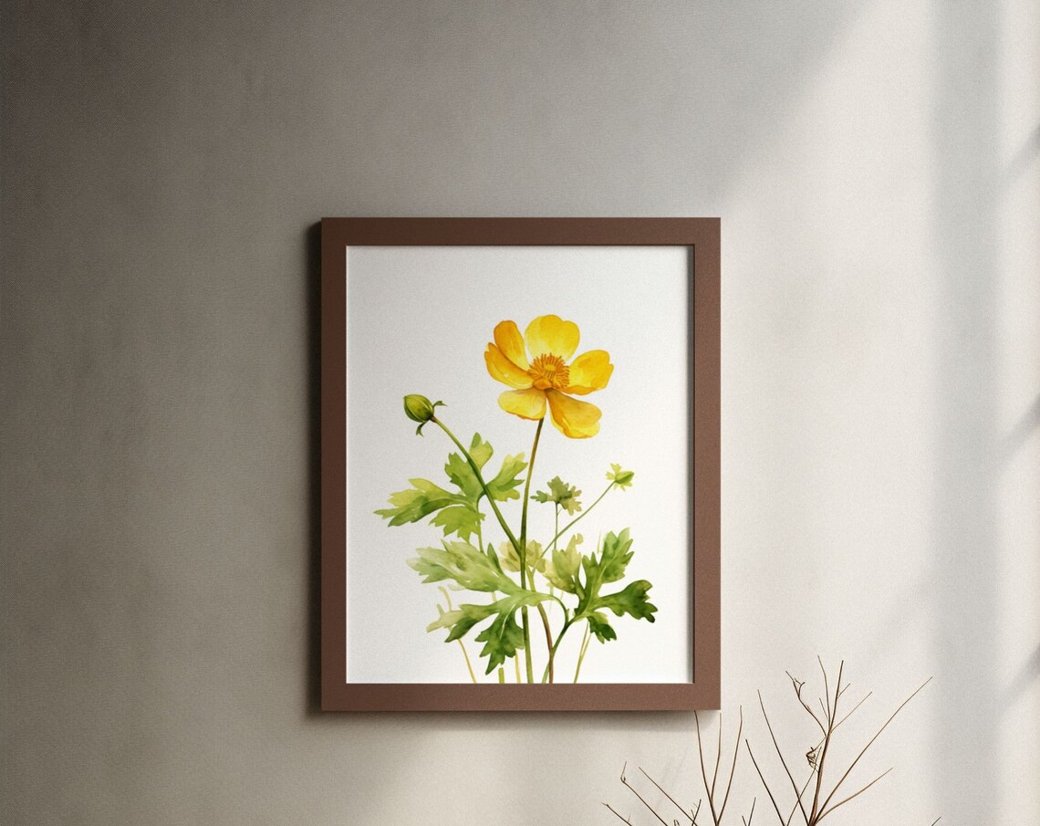 Yellow Buttercup Wildflower Sunny Watercolor Botanical Art Poster