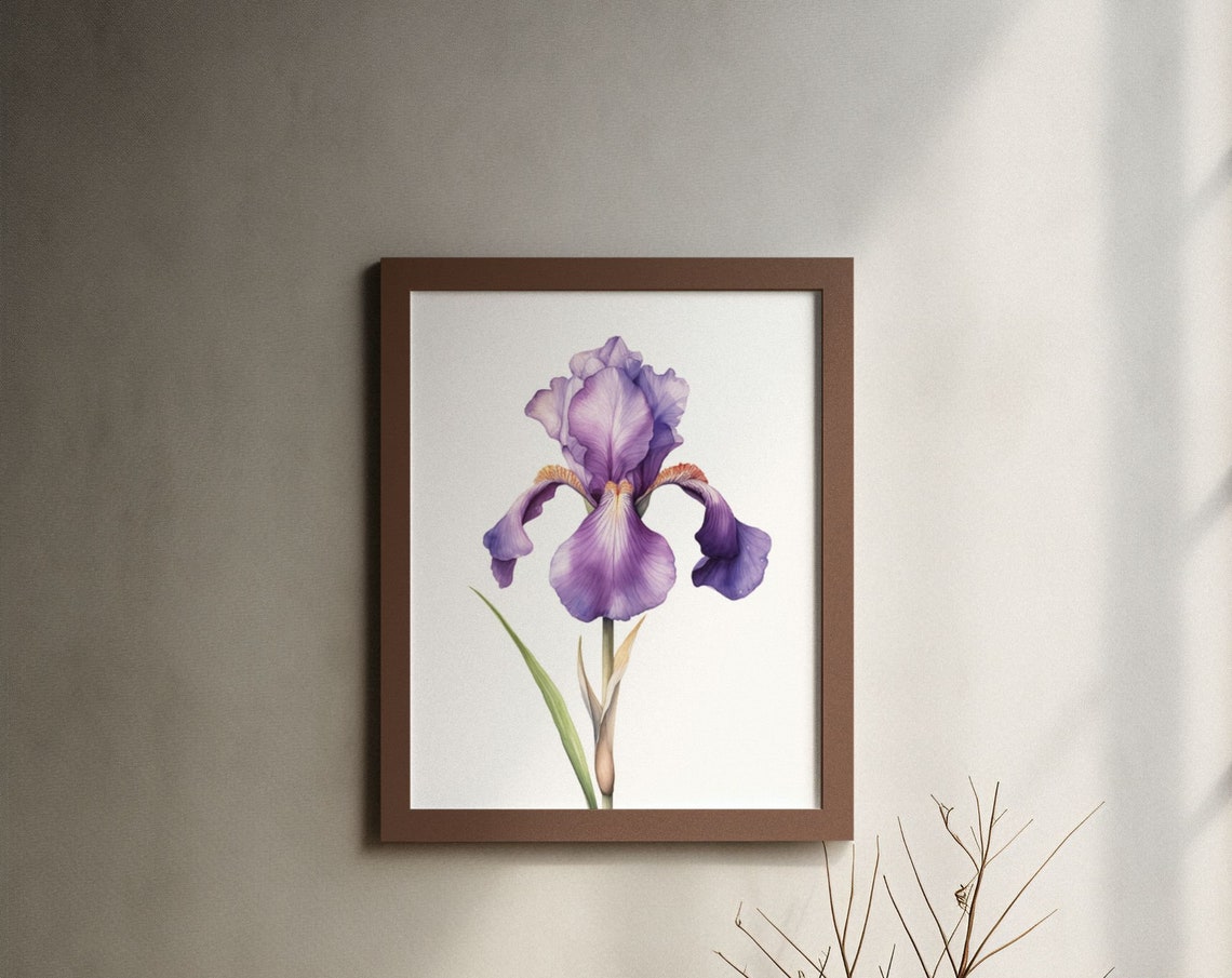 Purple Bearded Iris Single Bloom Watercolour Botanical Poster