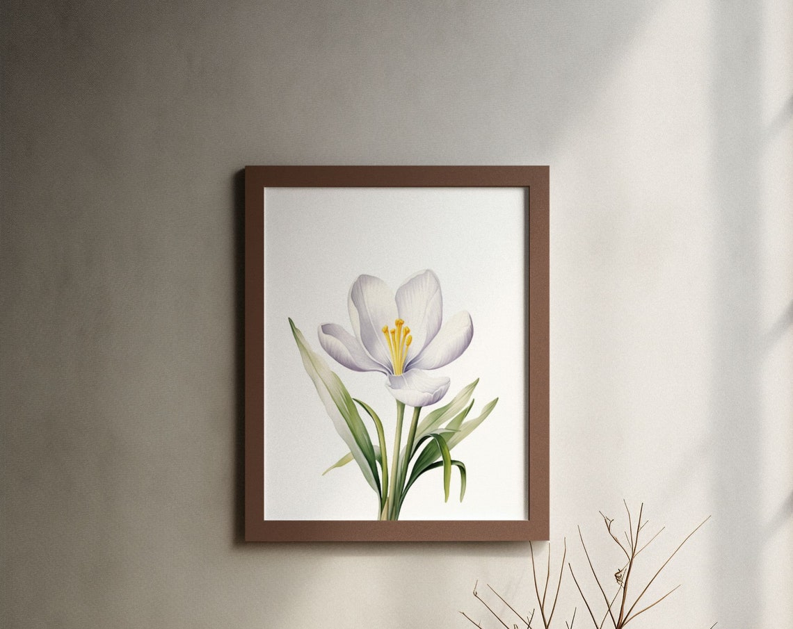White Crocus Spring Blossoms Fresh Bright Watercolor Art Poster