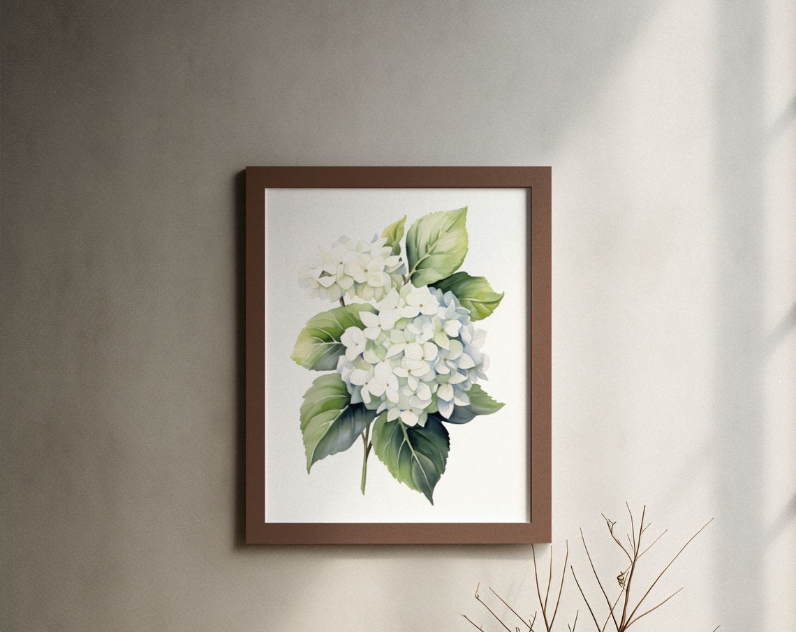 White Hydrangea Double Bloom Fresh Crisp Watercolor Art Poster