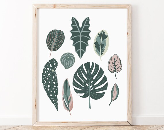 Botanical House Plant Art Print Wall Leaves Poster Lady Nature Monstera