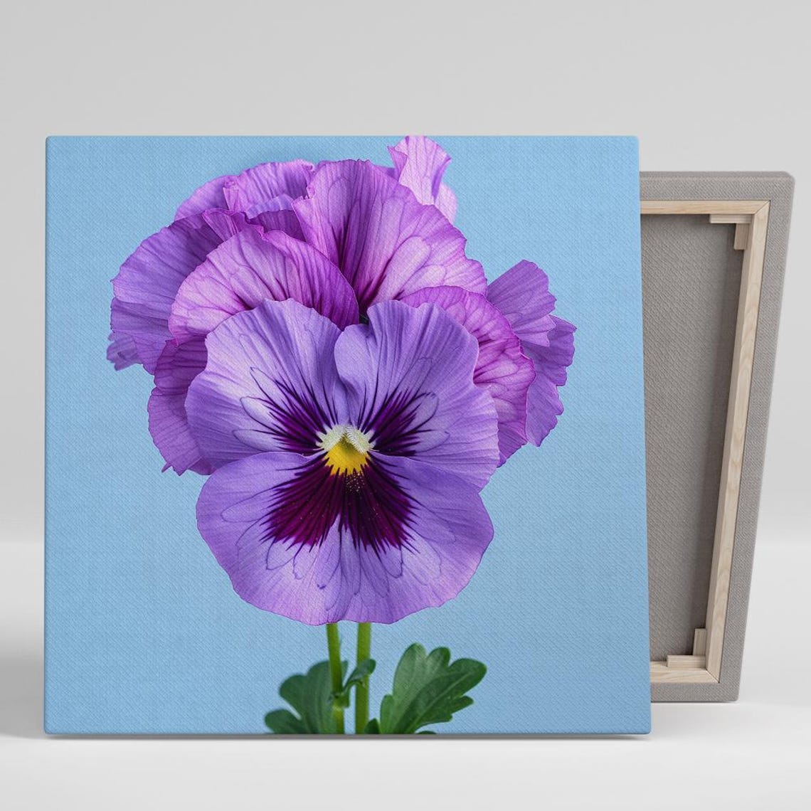 Purple Pansy Flower Macro Portrait Against Pale Sky Blue Wall Art