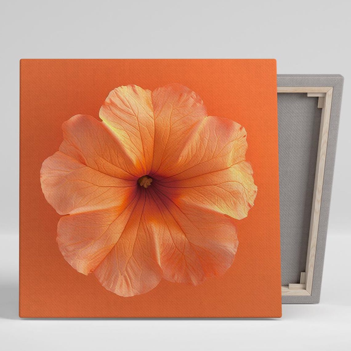 Orange Hibiscus Bloom Macro On Warm Tangerine Bold Floral Canvas Print