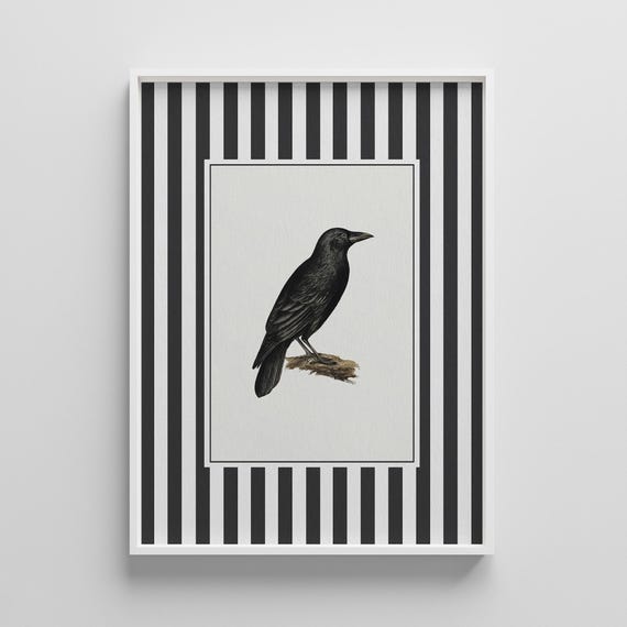 Vintage Crow Engraving on Bold Black Striped Gothic Art Poster