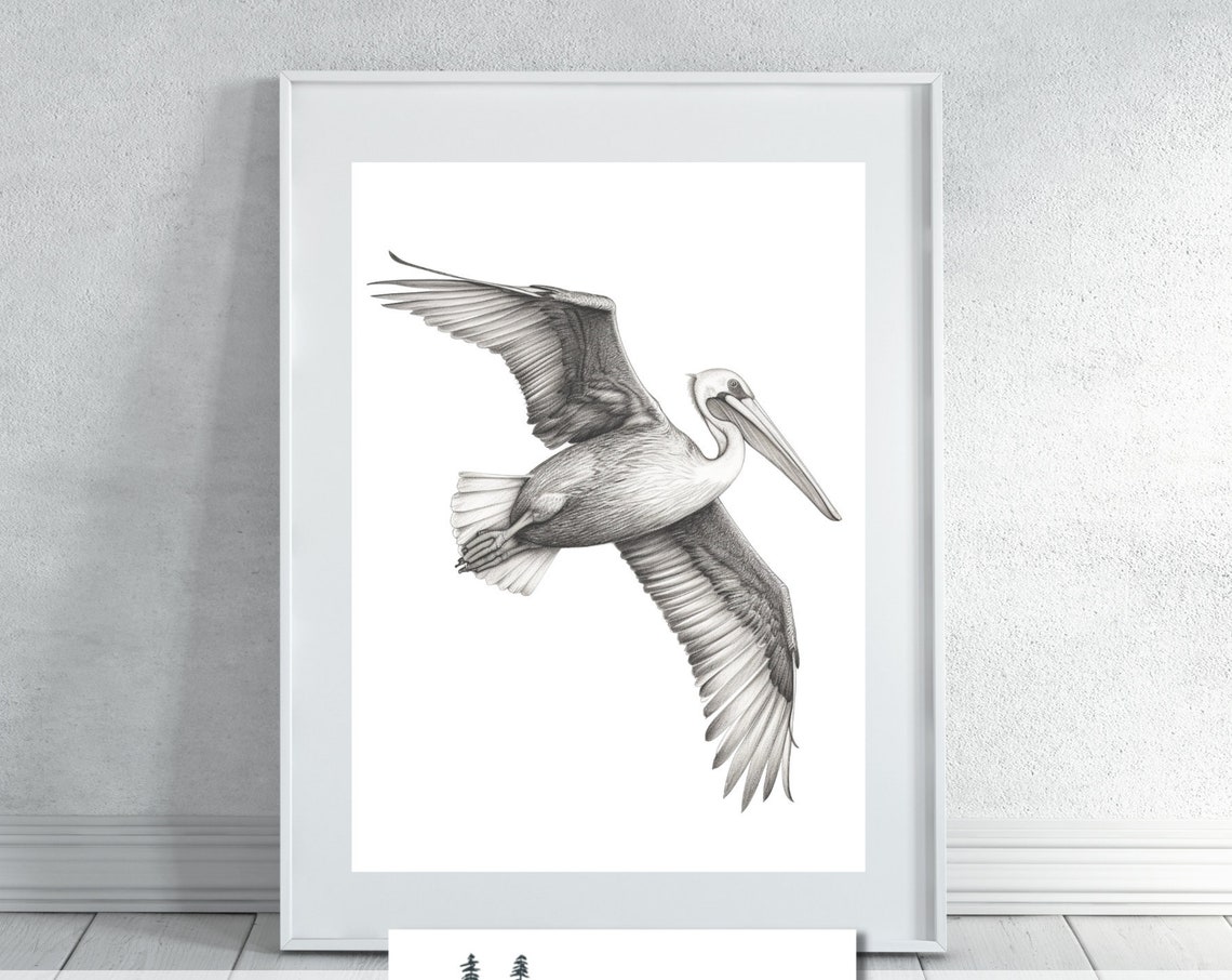 Pelican In Flight Black And White Bird Sketch Minimalist Coastal Print - Image 4