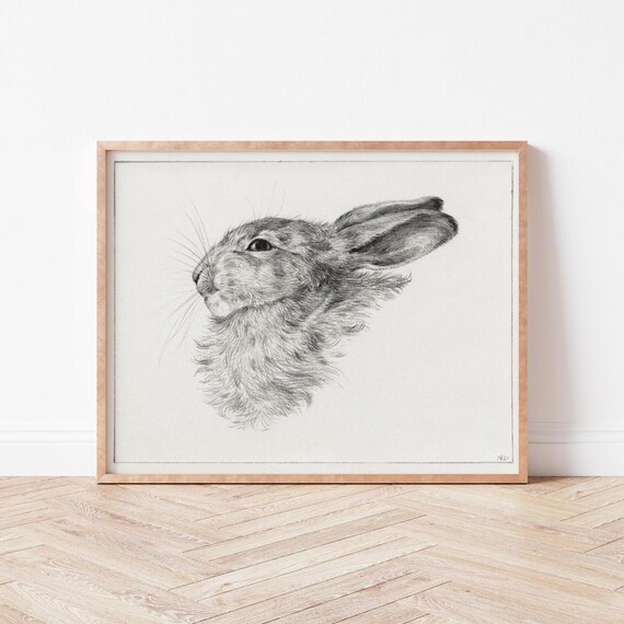 Vintage Hare Head Pencil Sketch Study Neutral Nursery Art Print
