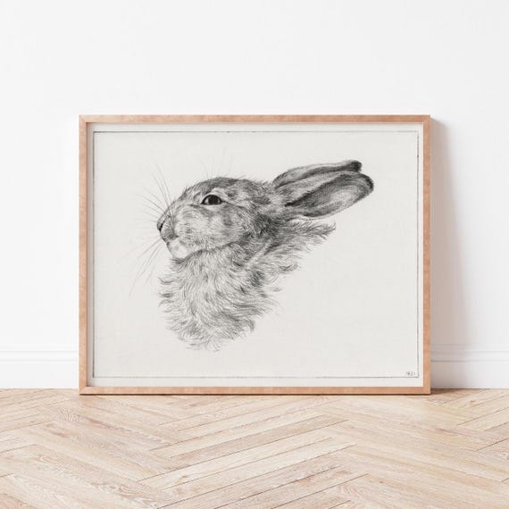 Vintage Rabbit Sketch Print Neutral Bunny Wall Decor Farmhouse Nursery Art Wild Violets An0024