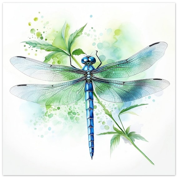 Dragonfly Watercolour Blue And Green Painting Print Poster Picture Wall Art Dcor