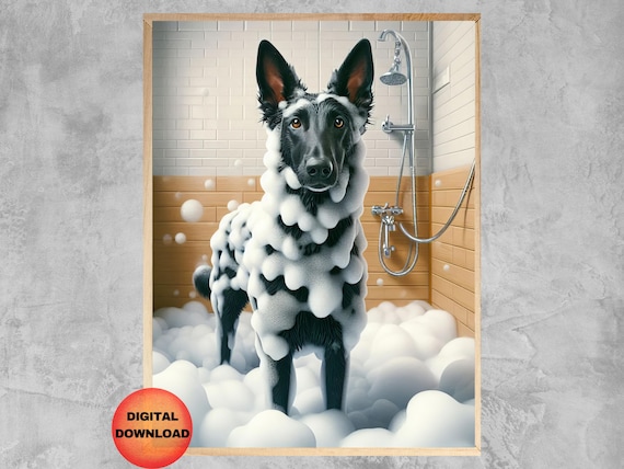 Black Belgian Malinois In Shower Print Funny Dog Bathroom Wall Art Whimsy Gift For Lovers Bathtub Poster