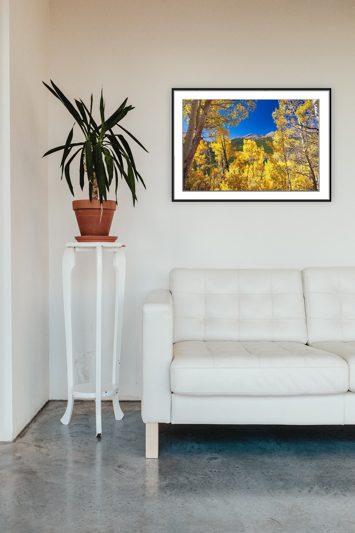 Golden Aspen Grove Beneath a Bright Blue Autumn Sky Photo Poster - Image 5